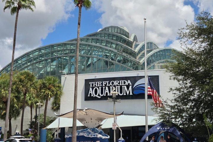 Tampa E Bike Tours