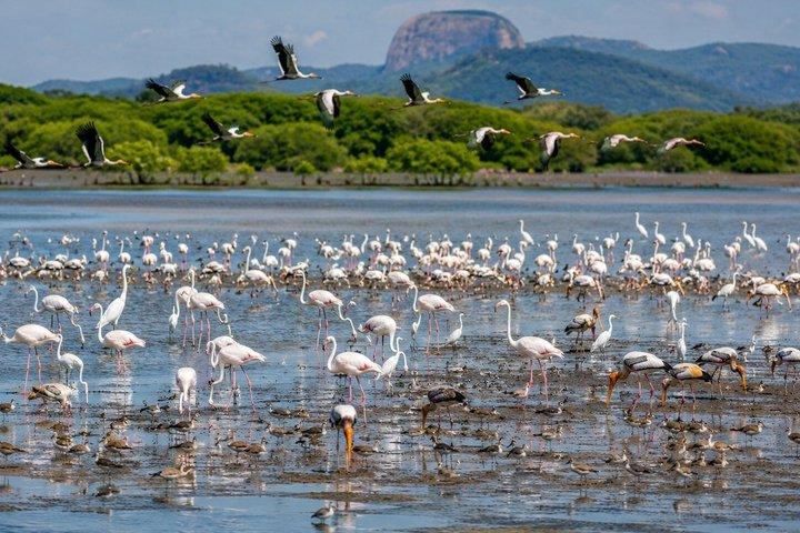 スリランカの隠れた遺産文化と市内観光4日間