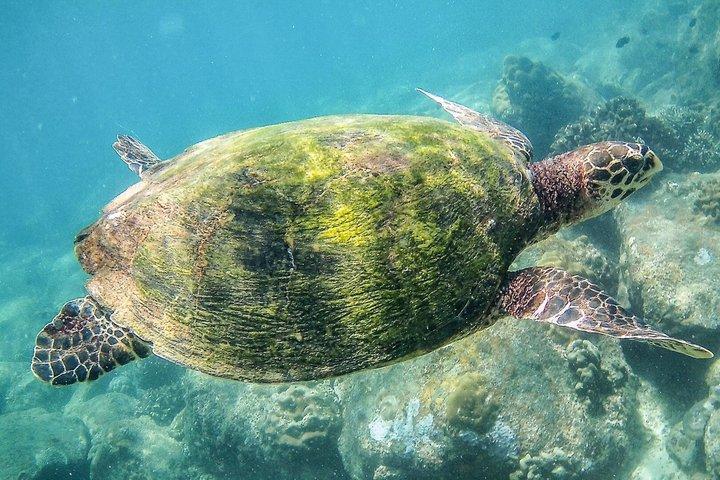 スリランカの隠れた遺産文化と市内観光4日間
