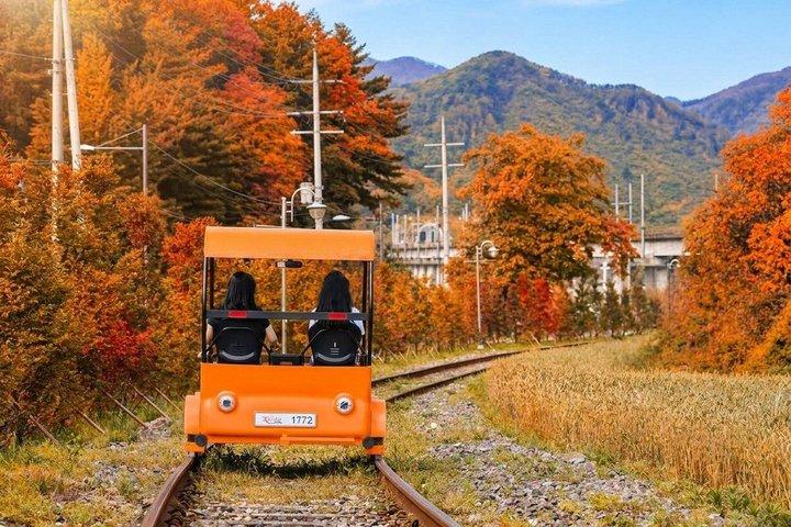 プチフランス＆イタリア語村と江村レールバイクで行く波島旅行