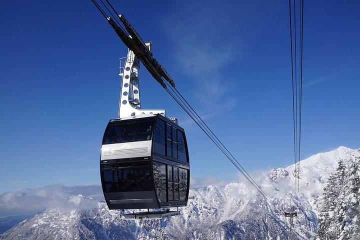 東京発 飛騨高山・白川郷ライトアップ2日間日帰り旅行