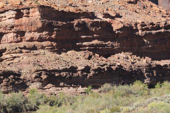 Moab Rivertrippers Half Day Rafting Trip - Colorado River ~ FUN!