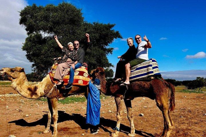 Agadir: Quad & Camel Ride with Tea in Berber Tent