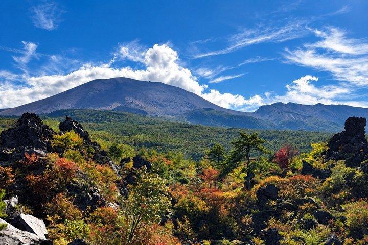 東京発・ホテル送迎付き軽井沢日帰り旅行