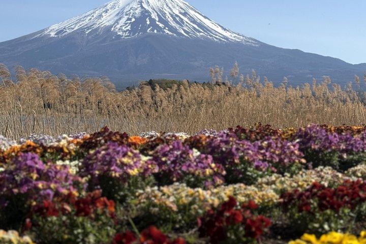 東京発富士山プライベート観光ツアー