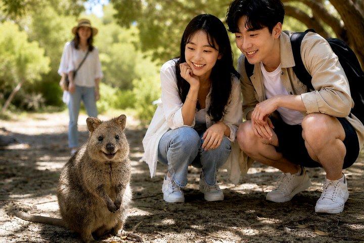 ウロンゴン野生動物とシドニーの秘密の海岸線キアマ吹き穴