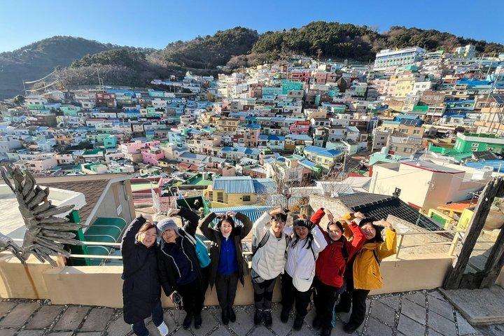 Busan Cruise Shore Excursion: Private City Tour with Local Guide