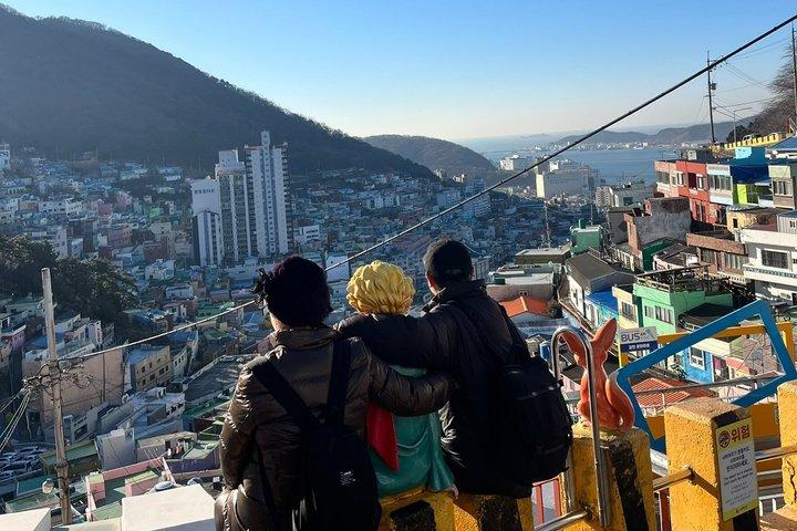 Busan Cruise Shore Excursion: Private City Tour with Local Guide
