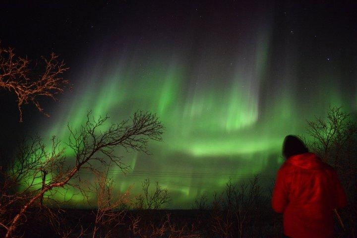 Tour des aurores boréales et de l'écologie arctique d'Abisko