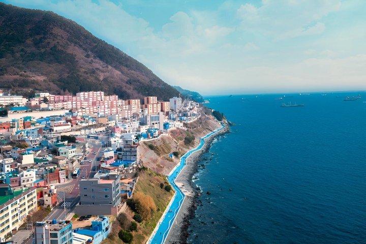 Busan Cruise Shore Excursion: Private City Tour with Local Guide