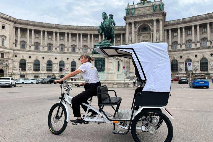 Privé 1,5 uur Rickshaw Tour