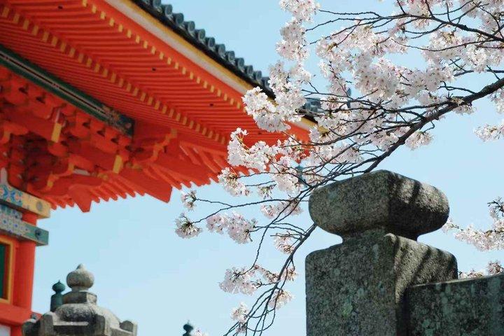 大阪発京都旅行プライベートバンチャーター