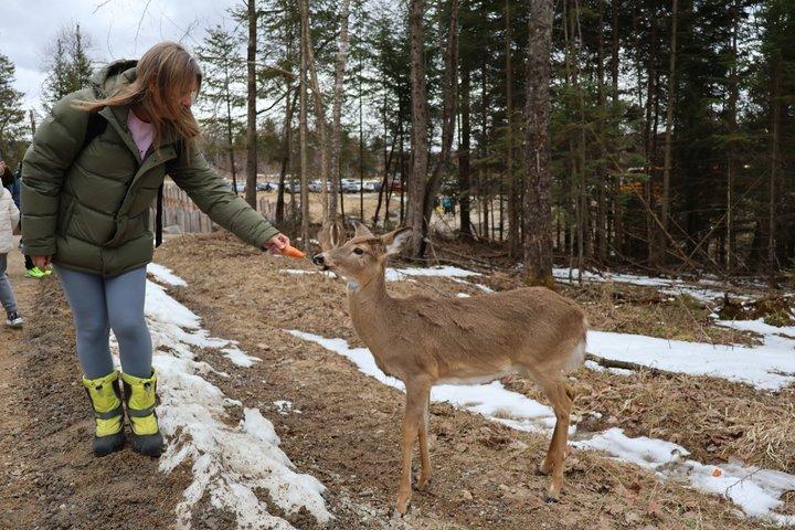 モントリオール：秋の紅葉に彩られたオメガパークでサファリ体験