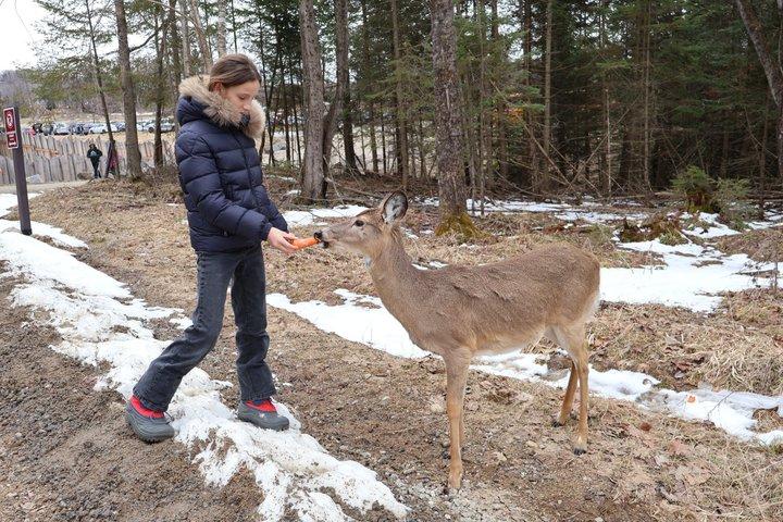 モントリオール：秋の紅葉に彩られたオメガパークでサファリ体験