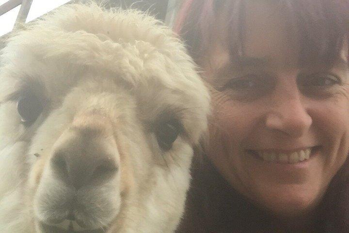 カラブリアのアルパカ サンセットビーチ体験 Pizzo VV AlpacSelfies