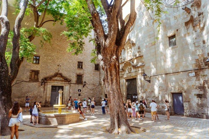 Discover the Gothic Quarter | Walking Tour | 2h