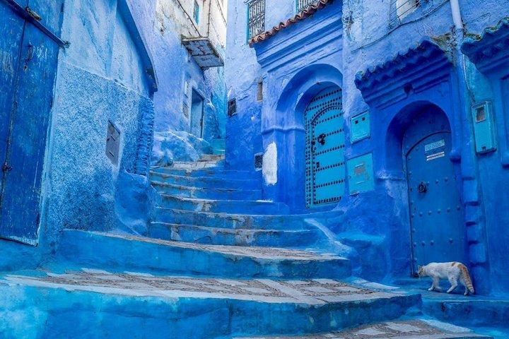 Chefchaouen Day Trip from Fez