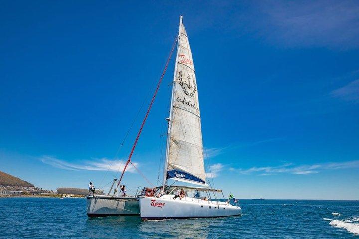 Passeio de Catamarã Cênico a partir do Waterfront de Cidade do Cabo