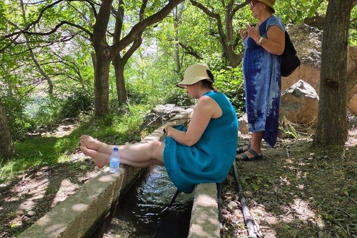 豪華アトラス山脈日帰り旅行：3つの谷とベルベル料理ランチ