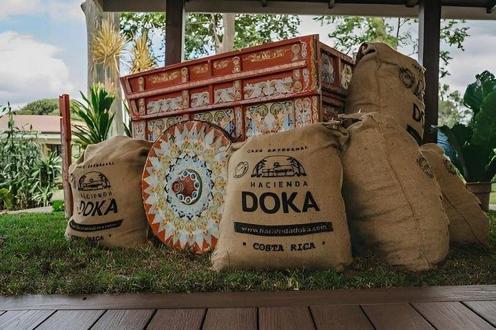 オールインクルーシブパッケージ7泊8日コスタリカの最高の目的地