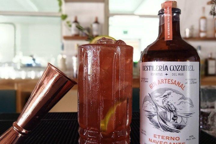 Cozumel Rum and Gin Tasting, Cocktail Making and Lunch
