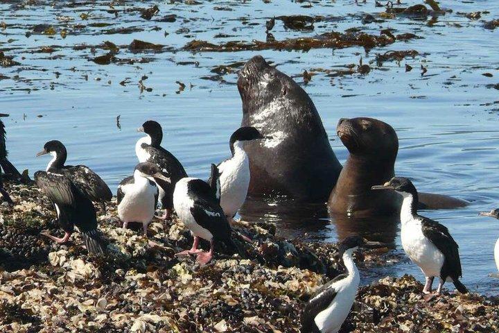 ウシュアイア：世界の果て列車、国立公園＆ビーグル海峡