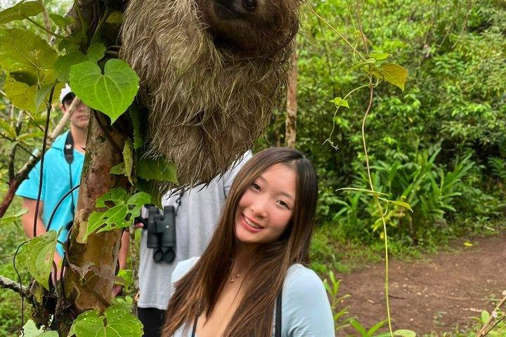 Sloth Watching , Coffee, Chocolate & Waterfall Experience