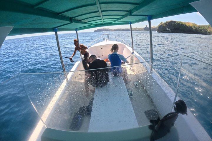 バリ島からの場合： ヌサペニダ島全日ツアーとシュノーケリング