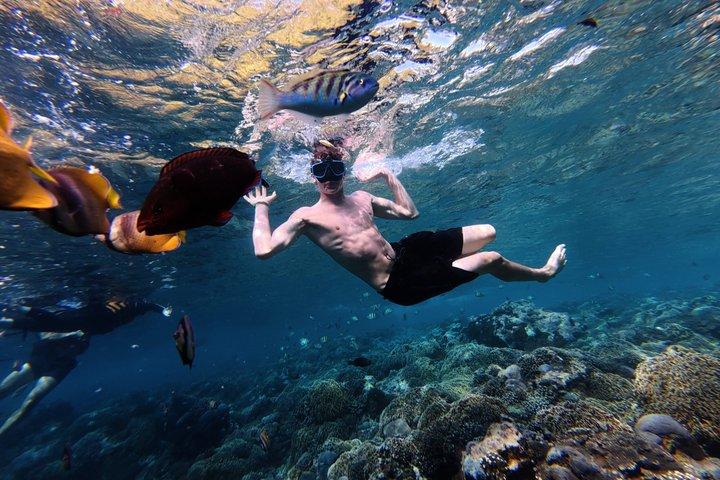 バリ島からの場合： ヌサペニダ島全日ツアーとシュノーケリング