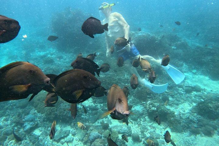 バリ島からの場合： ヌサペニダ島全日ツアーとシュノーケリング