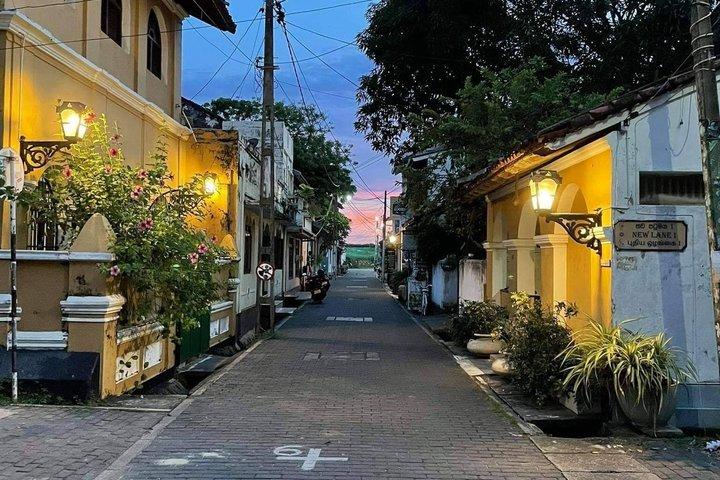 ガレ城砦の遺産ウォーキングツアー（地元住民との同行）