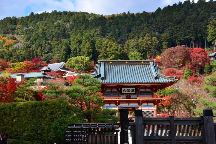 勝尾寺,京都清水寺&嵐山,抹茶体験