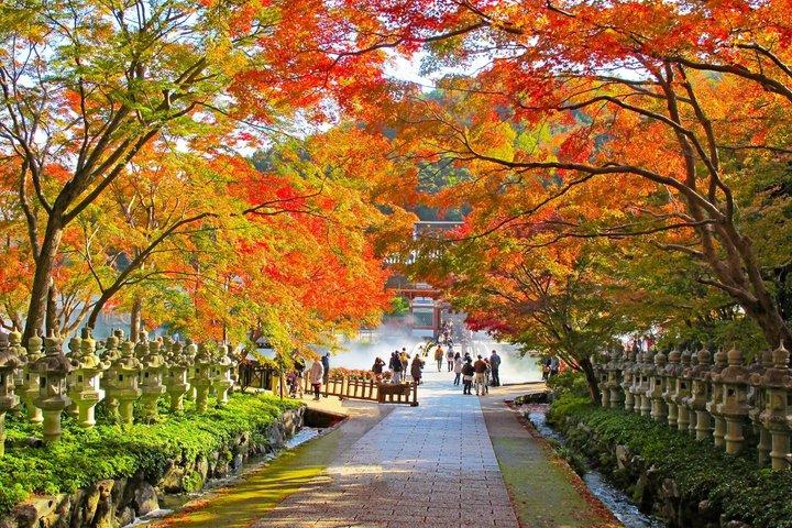 勝尾寺,京都清水寺&嵐山,抹茶体験