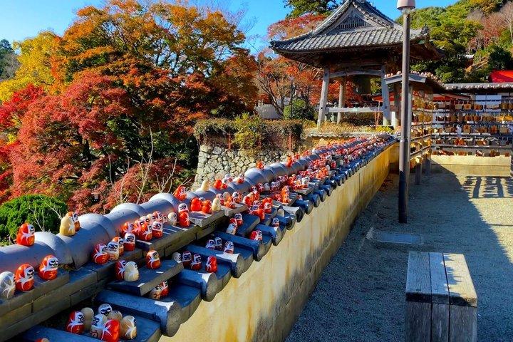 勝尾寺,京都清水寺&嵐山,抹茶体験