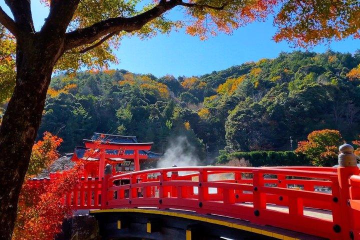 勝尾寺,京都清水寺&嵐山,抹茶体験
