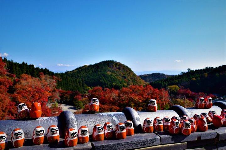 勝尾寺,京都清水寺&嵐山,抹茶体験