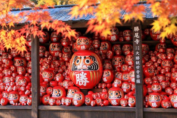 勝尾寺,京都清水寺&嵐山,抹茶体験