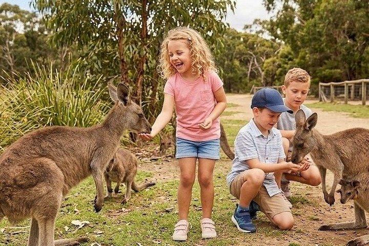 Royal Nature Tour