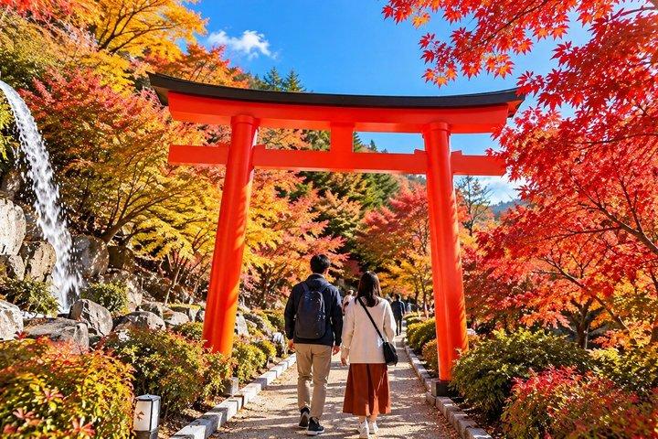 勝尾寺,京都清水寺&嵐山,抹茶体験