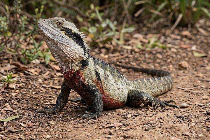 Royal Nature Tour
