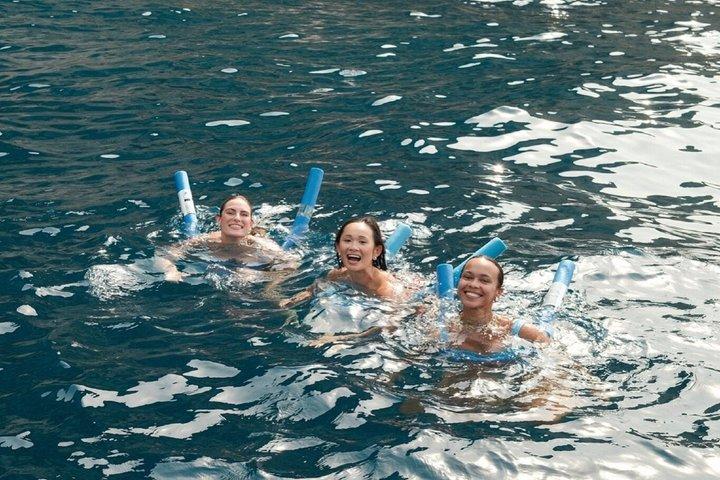 豪華ゴッツォ アプレアマレ100でのカプリへのプライベートボートツアー