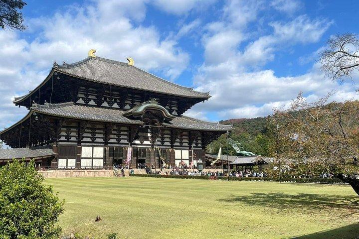 Private Tour durch Nara und Fushimi Inari auf Spanisch oder Englisch