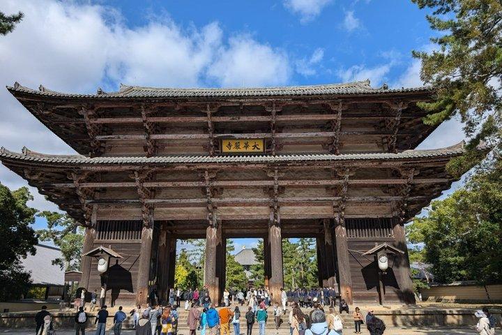 Private Tour durch Nara und Fushimi Inari auf Spanisch oder Englisch