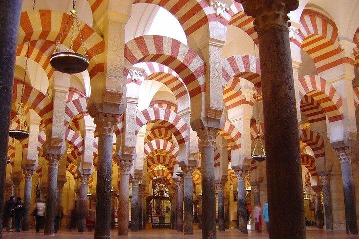 Dagtocht vanuit Sevilla naar Córdoba en de moskee-kathedraal.