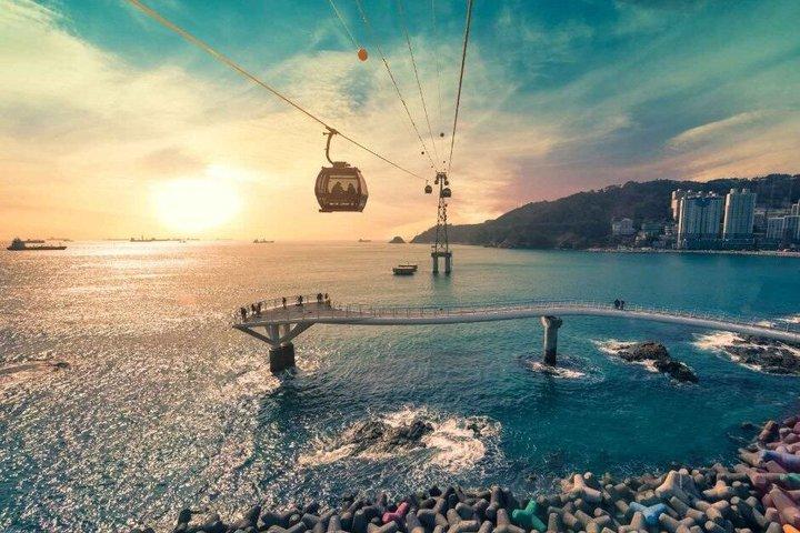 Busan Cruise Shore Excursion: Private City Tour with Local Guide
