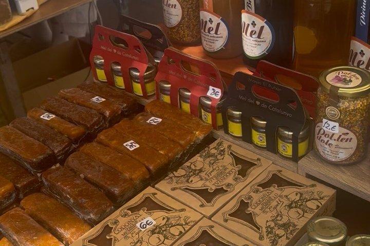 ホテル送迎付きプライベートモンセラートハイキングツアー