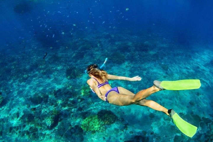 オレンジベイ島シュノーケリング旅行（送迎、ランチ付きなど）