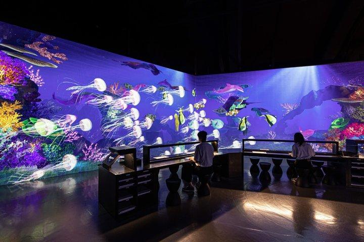 アート・ミュージアム・ドバイ イマーシブ・メディア・アート展 パス