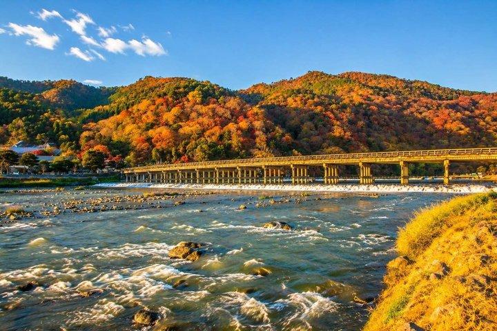 京都嵐山と清水寺抹茶の日帰りツアー