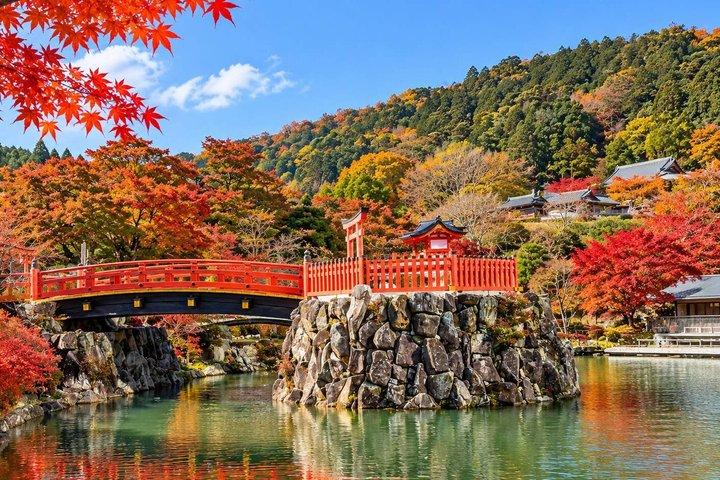 京都嵐山と清水寺抹茶の日帰りツアー